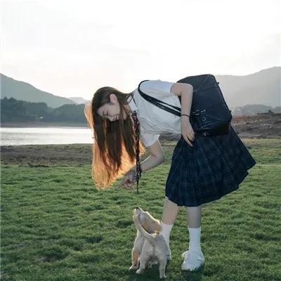 粉红火鹤的神秘凝视